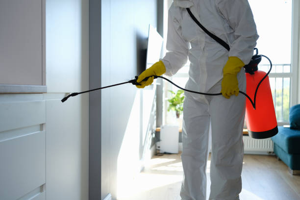 Best Mold Removal Company Near Me  in Lowell, OR